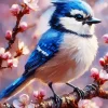 Florida Blue Jay Paint By Numbers