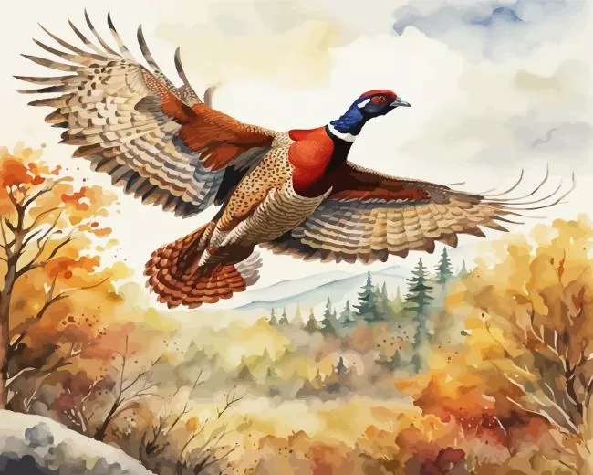 aesthetic flying pheasant art paint by numbers Flying Pheasant Art Paint By Numbers