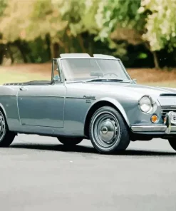 Grey Fairlady Datsun Paint By Numbers