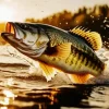 Bass Out Of Water Paint By Numbers