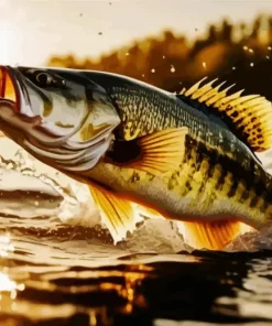 Bass Out Of Water Paint By Numbers