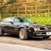 Firebird Trans Am 78 Paint By Numbers