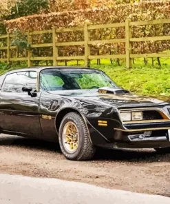 Firebird Trans Am 78 Paint By Numbers
