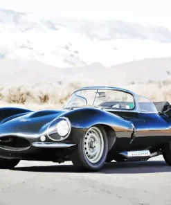 Black Jaguar Xkss Paint By Numbers