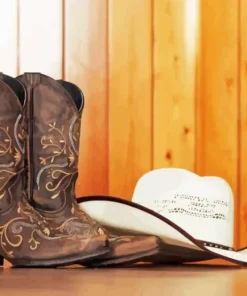 Boots Cowboy Hat Paint By Numbers