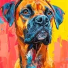 Boxer Brown Dog Art Paint By Numbers