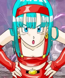 Bra Dragon Ball Paint By Numbers