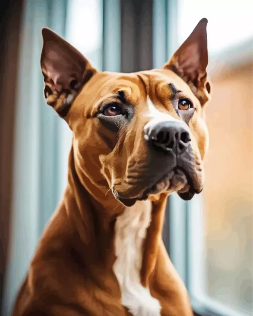 brown amstaff dog paint by numbers Brown Amstaff Dog Paint By Numbers