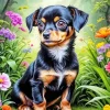 Brown Black Chiweenie Paint By Numbers