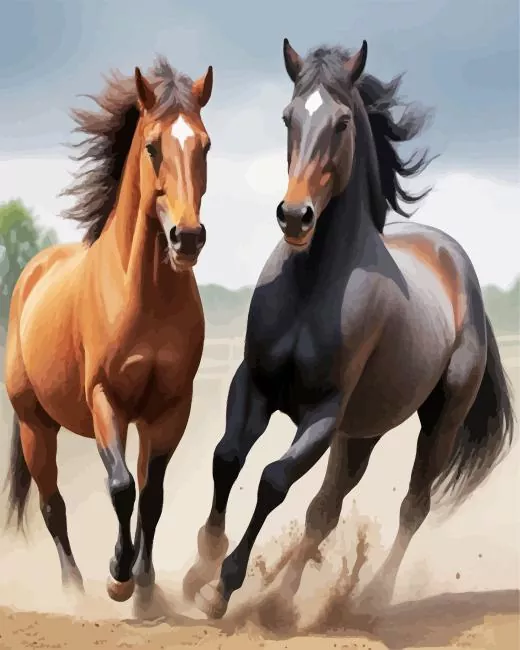 brown and black horses paint by number Brown Black Horses Paint By Numbers
