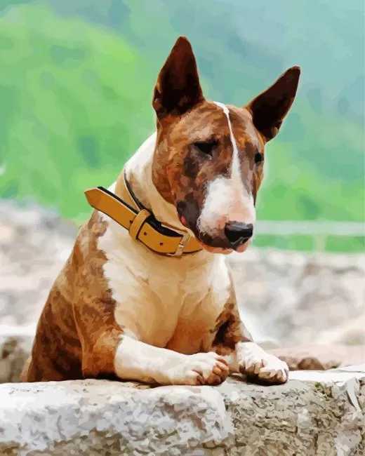 brown and white english bull terrier paint by numbers English Bull Terrier Paint By Numbers