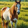 Brown White Horse Paint By Numbers