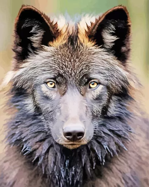 brown black wolf paint by number Brown Wolf Art Paint By Numbers