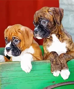 Brown Boxer Puppies Paint By Numbers