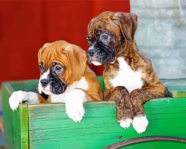 brown boxer puppies paint by number Brown Boxer Puppies Paint By Numbers