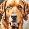 Brown Dog Face Paint By Numbers