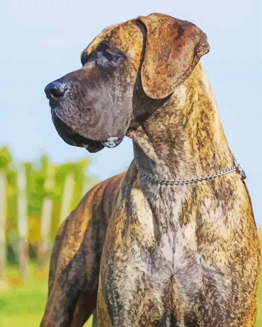 brown great dane with spots paint by numbers Brown Great Dane Paint By Numbers