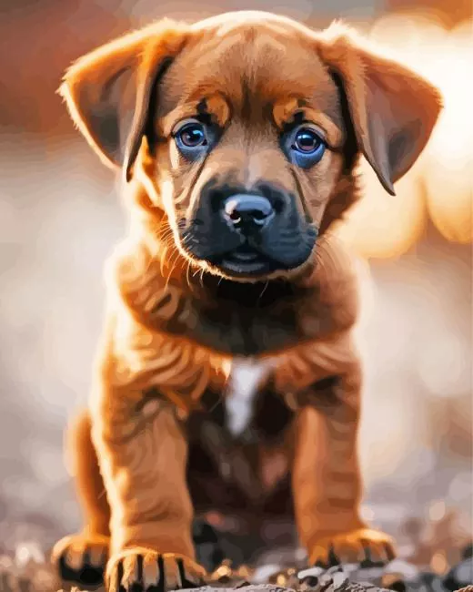 brown puppy dog paint by number Brown Puppy Dog Paint By Numbers