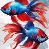 Red Blue Betta Fish Paint By Numbers