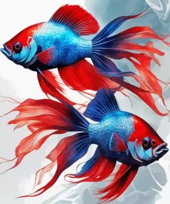 Red Blue Betta Fish Paint By Numbers