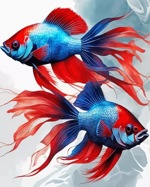 red and blue betta fish paint by number Red Blue Betta Fish Paint By Numbers