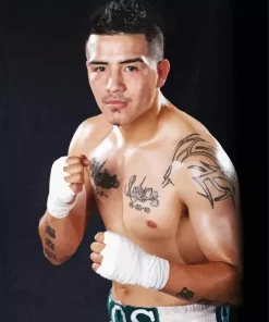 Bam Bam Brandon Rios Paint By Numbers