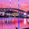 Long Beach Ca Bridge Paint By Numbers