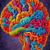 Colorful Brain Art Paint By Numbers