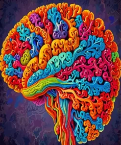 Colorful Brain Art Paint By Numbers