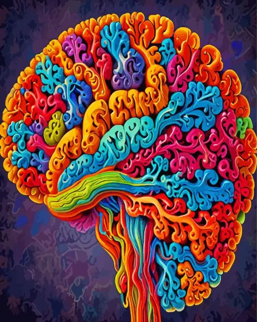 Colorful Brain Art paint by numbers Colorful Brain Art Paint By Numbers