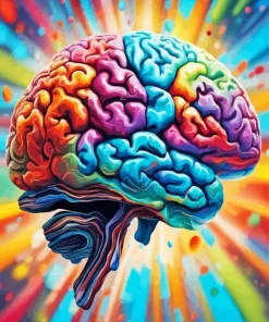 Colorful Brain Paint By Numbers