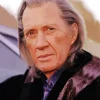 David Carradine Paint By Numbers