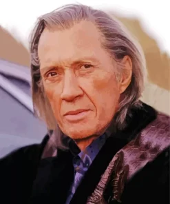 David Carradine Paint By Numbers