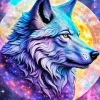 Galaxy Wolf Art Paint By Numbers