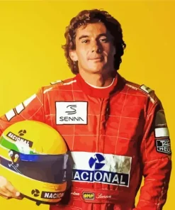Ayrton Senna Paint By Numbers