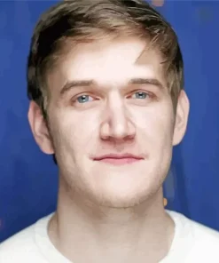 Bo Burnham Paint By Numbers