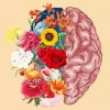 Brain With Flowers Paint By Numbers