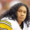 Brandon Polamalu Paint By Numbers
