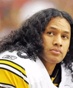 Brandon Polamalu Paint By Numbers