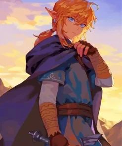 Breath Of The Wild Link Paint By Numbers