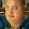 Brendan Fraser The Whale Paint By Numbers