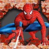 Brick Spider Man Paint By Numbers