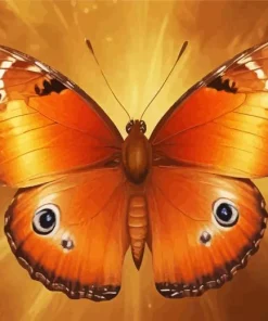 Brown Butterfly Paint By Numbers