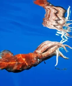 Colossal Squid Paint By Numbers