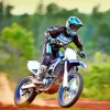 Dirtbike Art Paint By Numbers