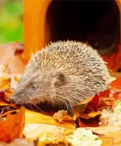 Hedgehog With Leaves Paint By Numbers
