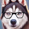 Husky Wearing Glasses Paint By Numbers