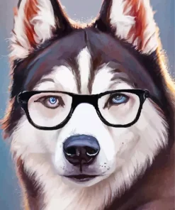 Husky Wearing Glasses Paint By Numbers