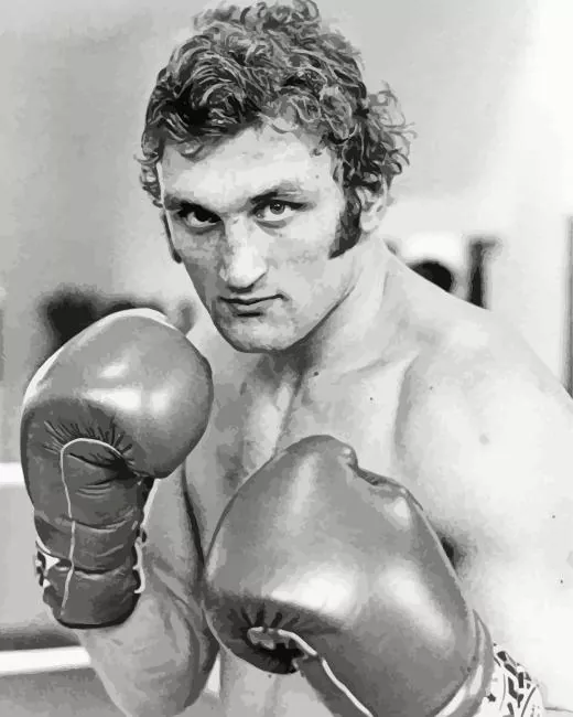 joe bugner boxer paint by number Joe Bugner Boxer Paint By Numbers